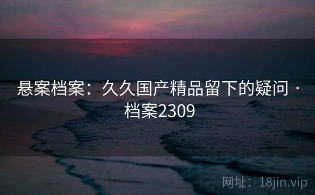 悬案档案：久久国产精品留下的疑问 · 档案2309