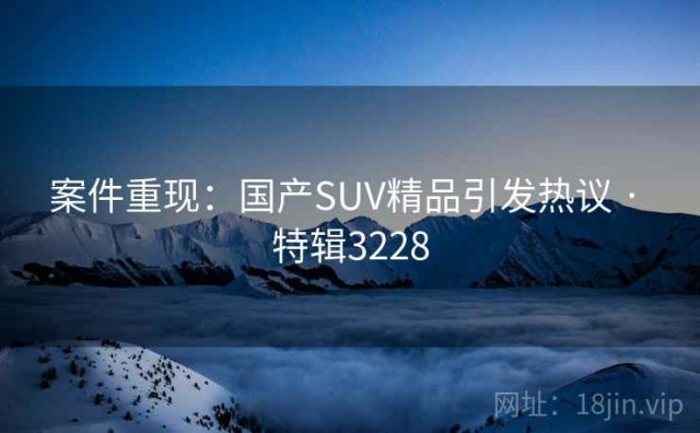 案件重现：国产SUV精品引发热议 · 特辑3228