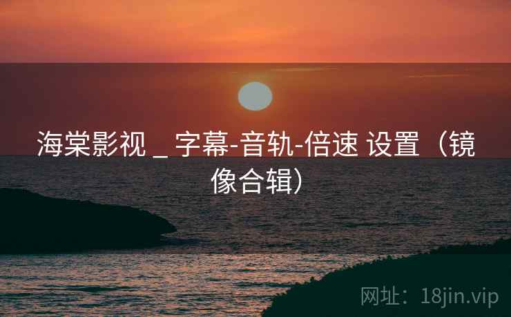 海棠影视 _ 字幕-音轨-倍速 设置（镜像合辑）