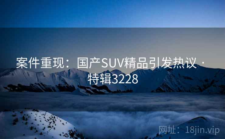 案件重现：国产SUV精品引发热议 · 特辑3228