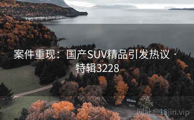 案件重现:国产SUV精品引发热议 · 特辑3228 案件重现:国产SUV精品引发热议 · 特辑3228