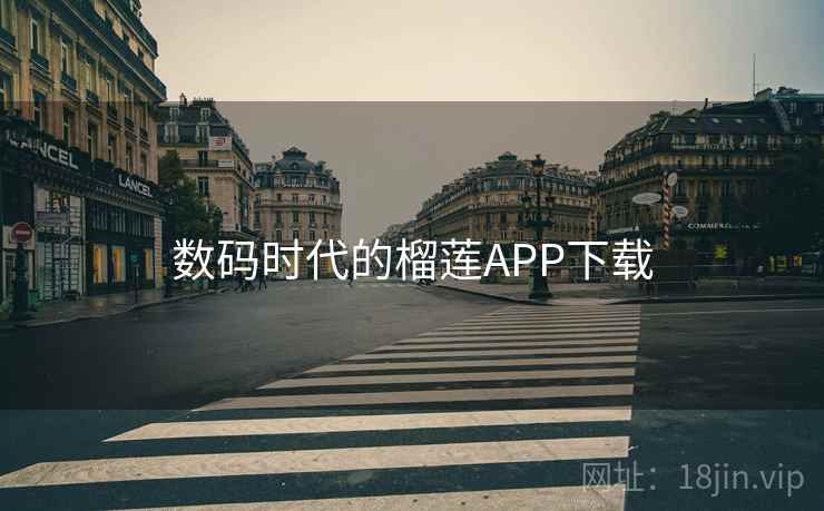 数码时代的榴莲APP下载 数码时代的榴莲APP下载