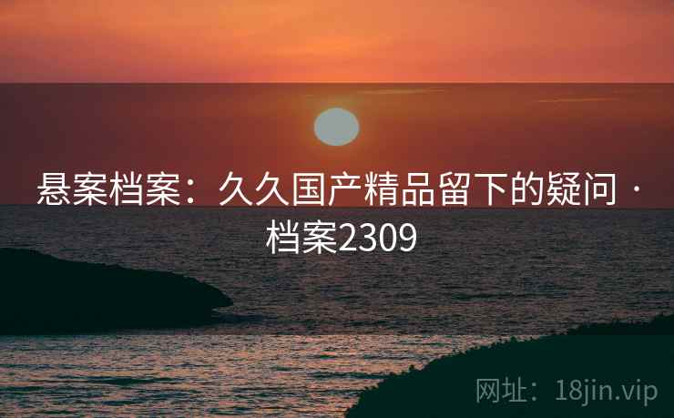 悬案档案：久久国产精品留下的疑问 · 档案2309